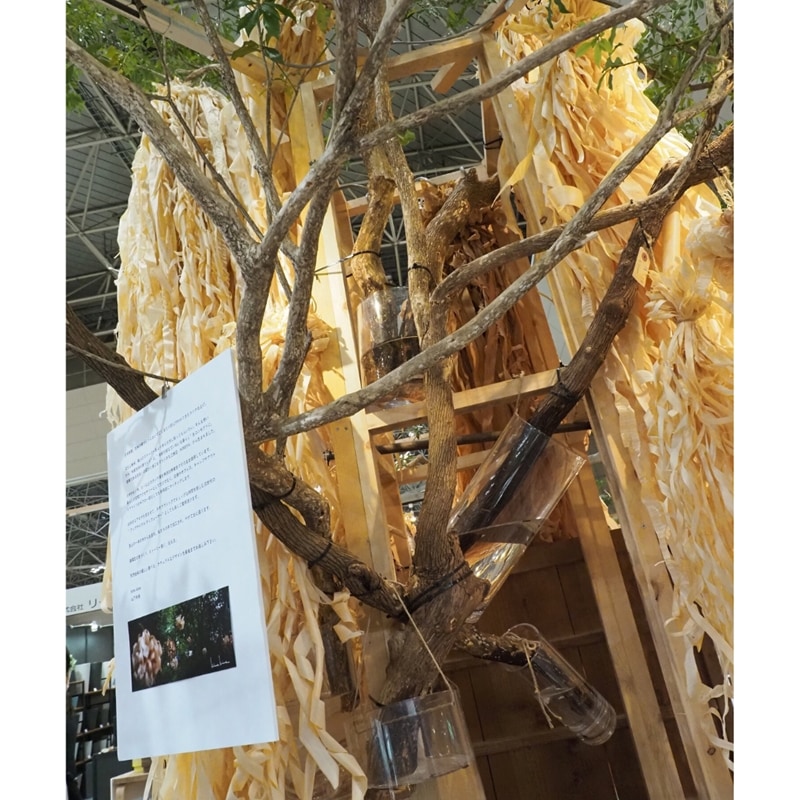 【割れない花瓶!?ポリカ】PVシリンダー φ25xH40