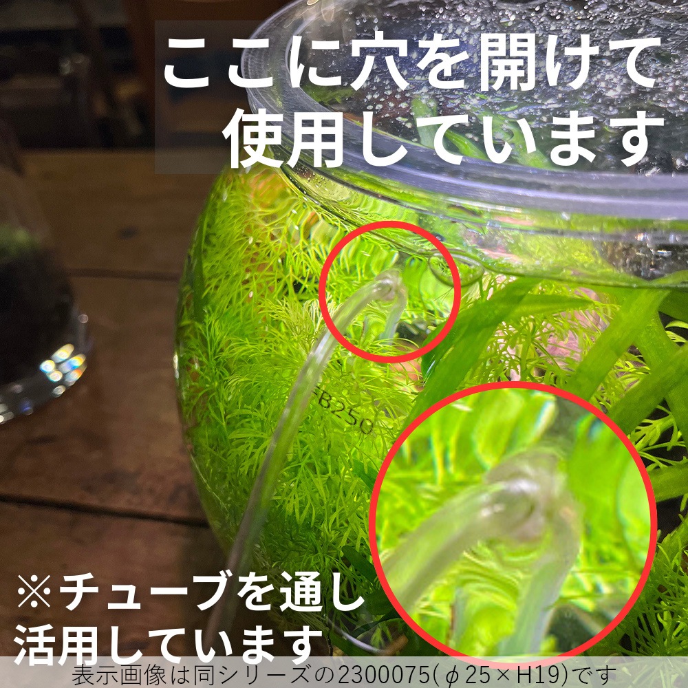 【割れない花瓶!?ポリカ】PV球形 H15