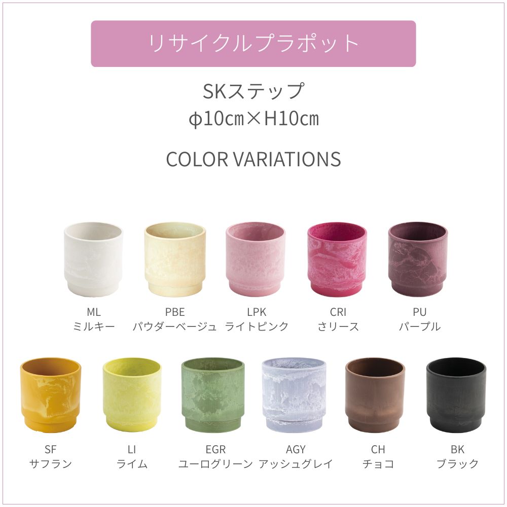 SKステップ 10xH10 パープル