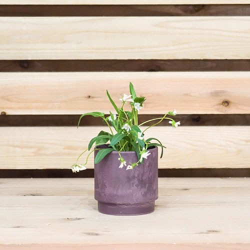 SKステップ 10xH10 パープル