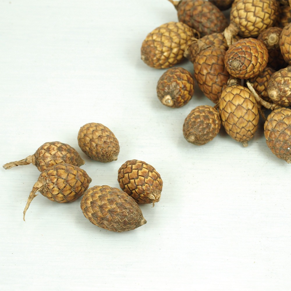 RMケインフルーツ 約150g