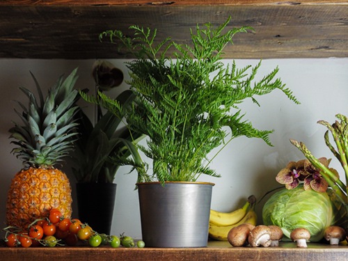 @MC円錐ポットグレーゴールド φ16xH12.5　