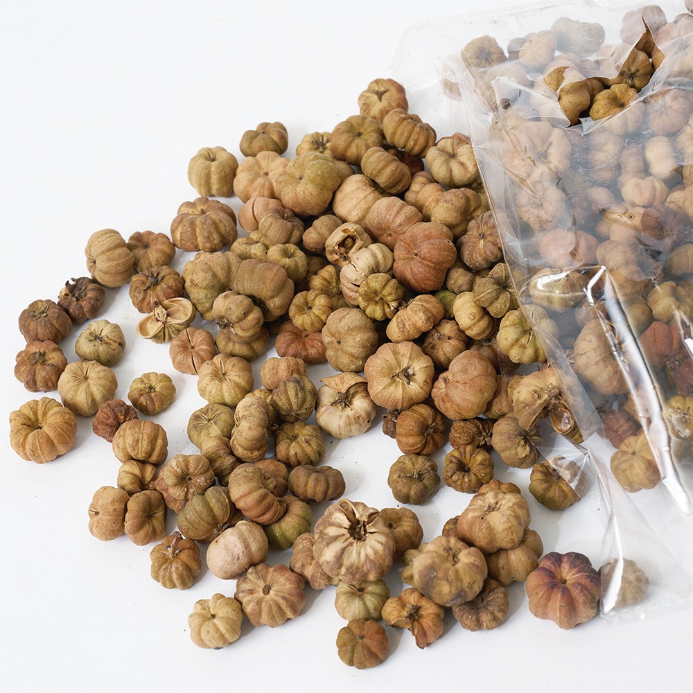 RMプッカポッド 約100g