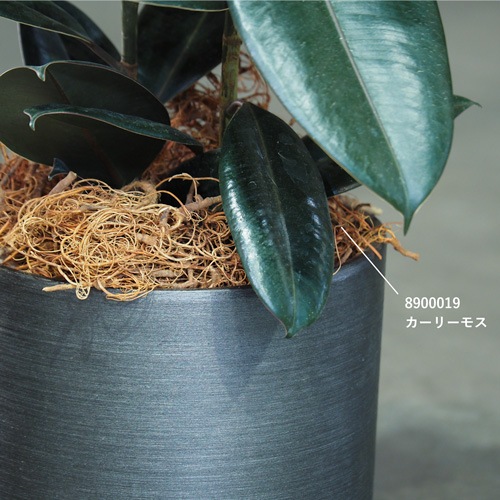 FR円柱ブラックストーンS φ21×H21 | 大型花器 -FRP・ポリエチレン