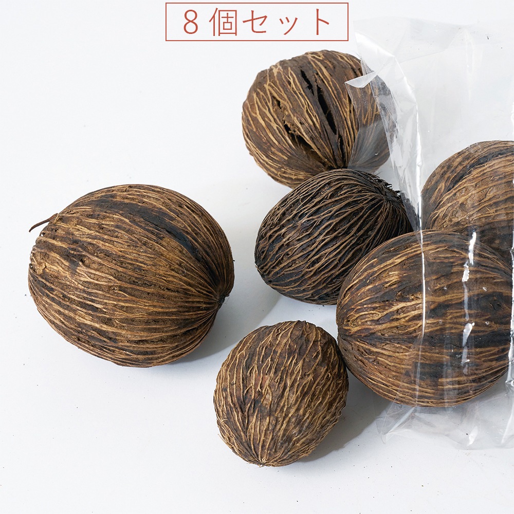 RMミントラボール 8個セット