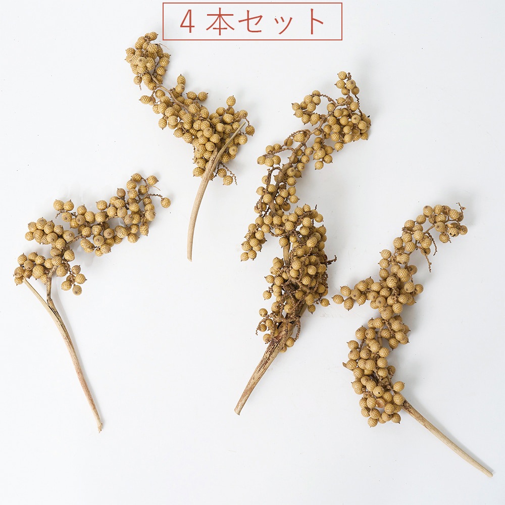 RMキャネラベリー ナチュラル 4本セット