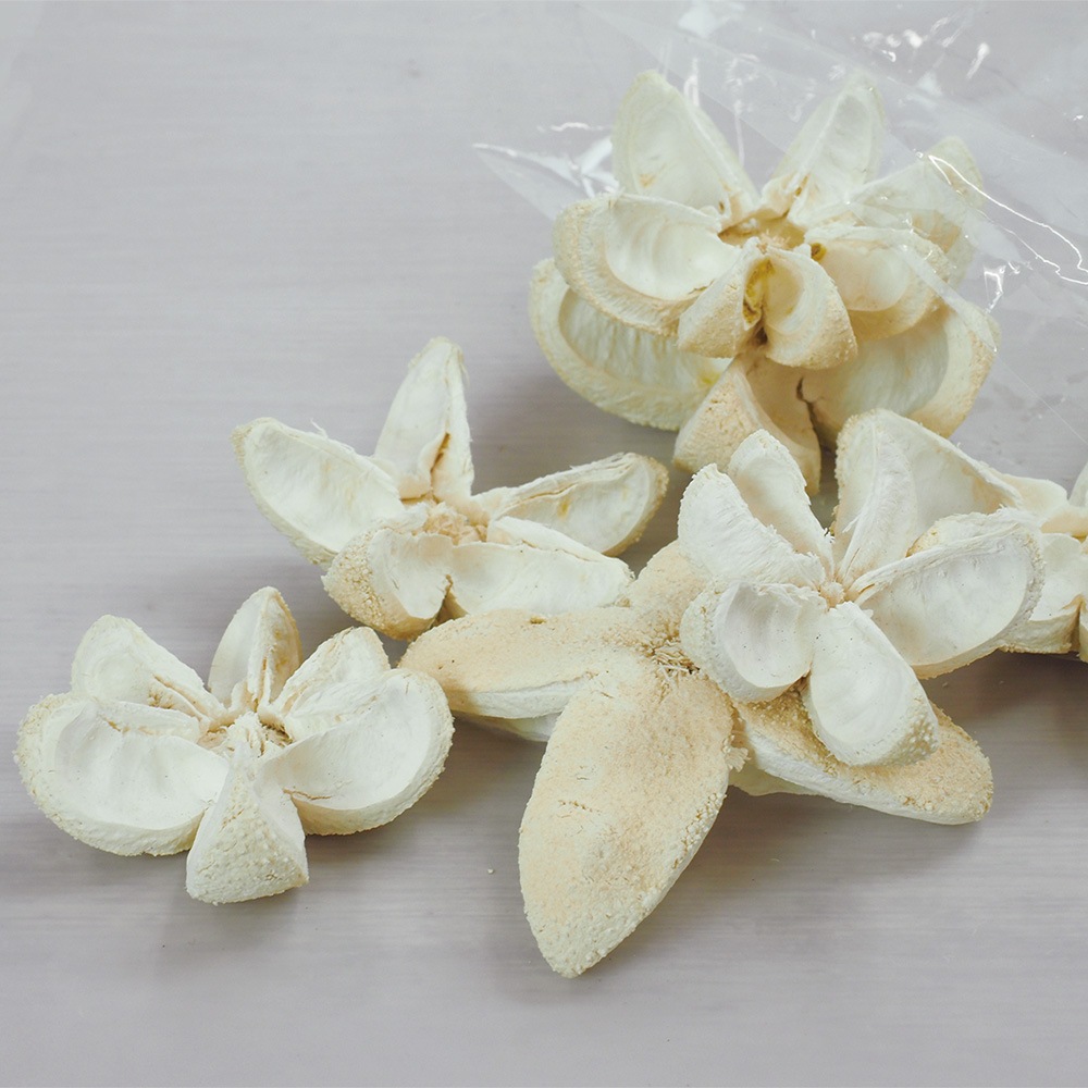 RMバレットフラワーブリーチ 約10個セット 