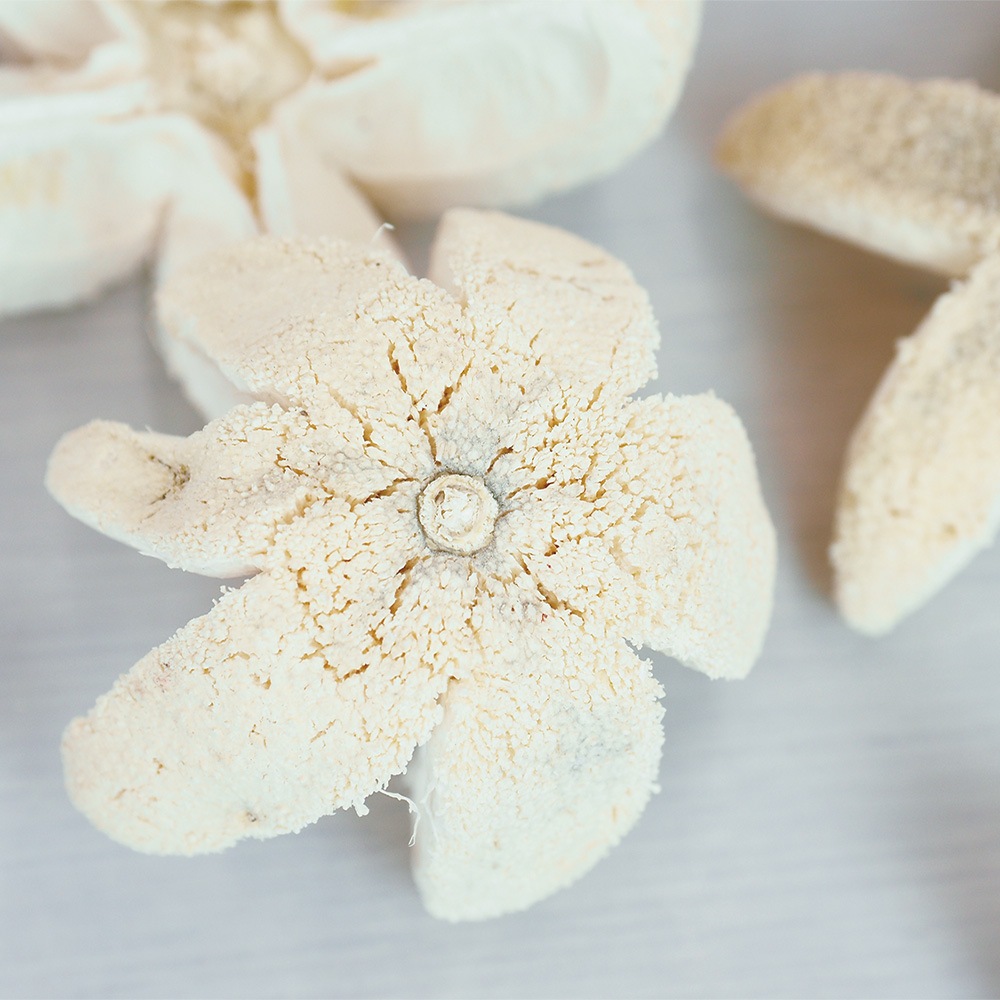 RMバレットフラワーブリーチ 約10個セット 