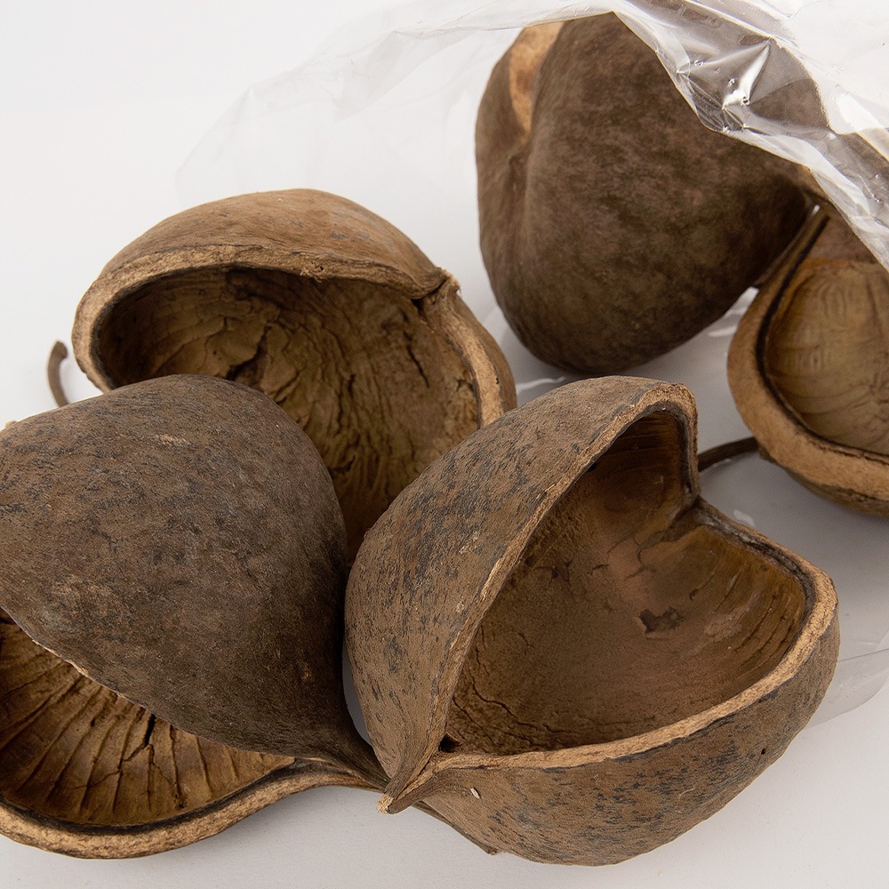 RMブッダナッツ 4個セット 