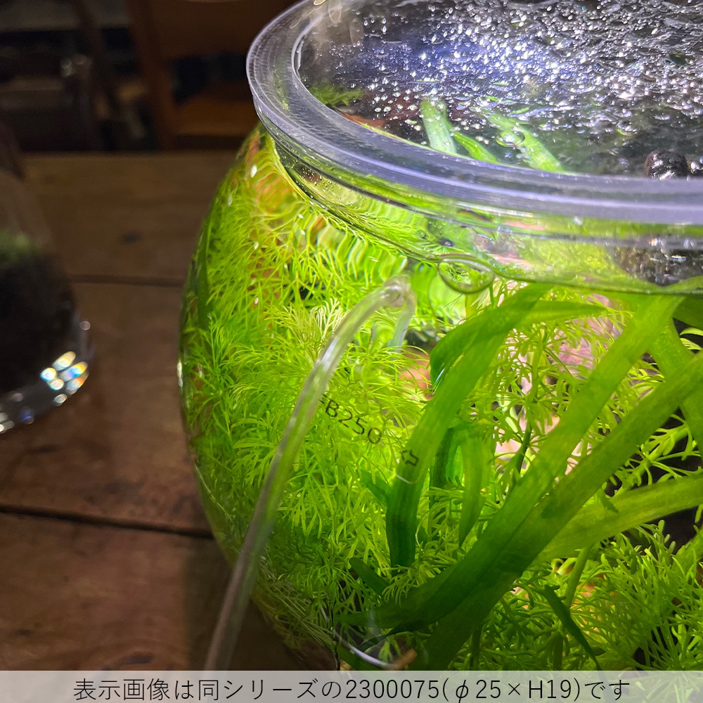 【割れない花瓶!?ポリカ】PV球形H45