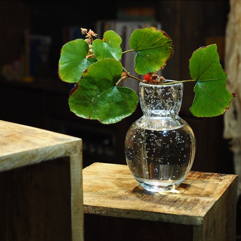 DGニキュガラスφ9.5xH14.5 クリアー