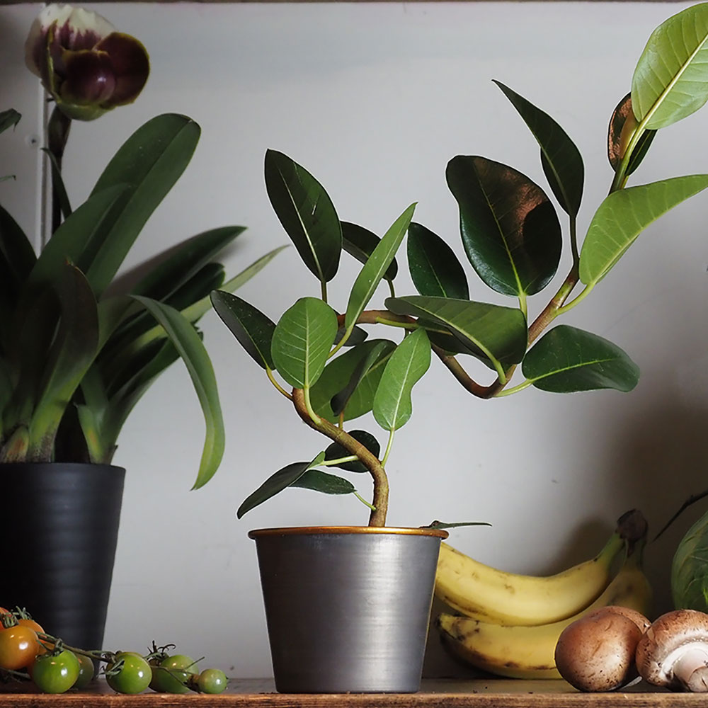 MC円錐ポット グレーゴールドH8