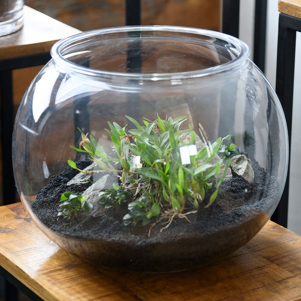 【割れない花瓶!?ポリカ】PV球形H33.5