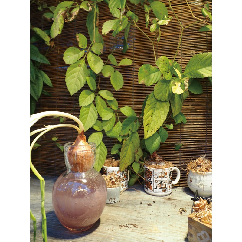 DGニキュガラスφ9.5xH14.5 クリアーパープル