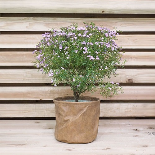 【予約商品】【再入荷】MHレザーポット6号用