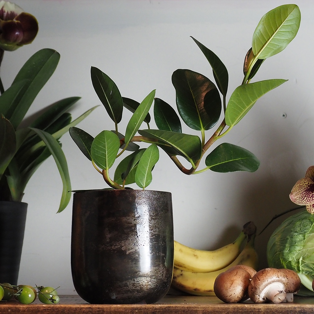 AM3.5ベース ブラックH13【入荷予定あり】【2026年6月下旬入荷予定】