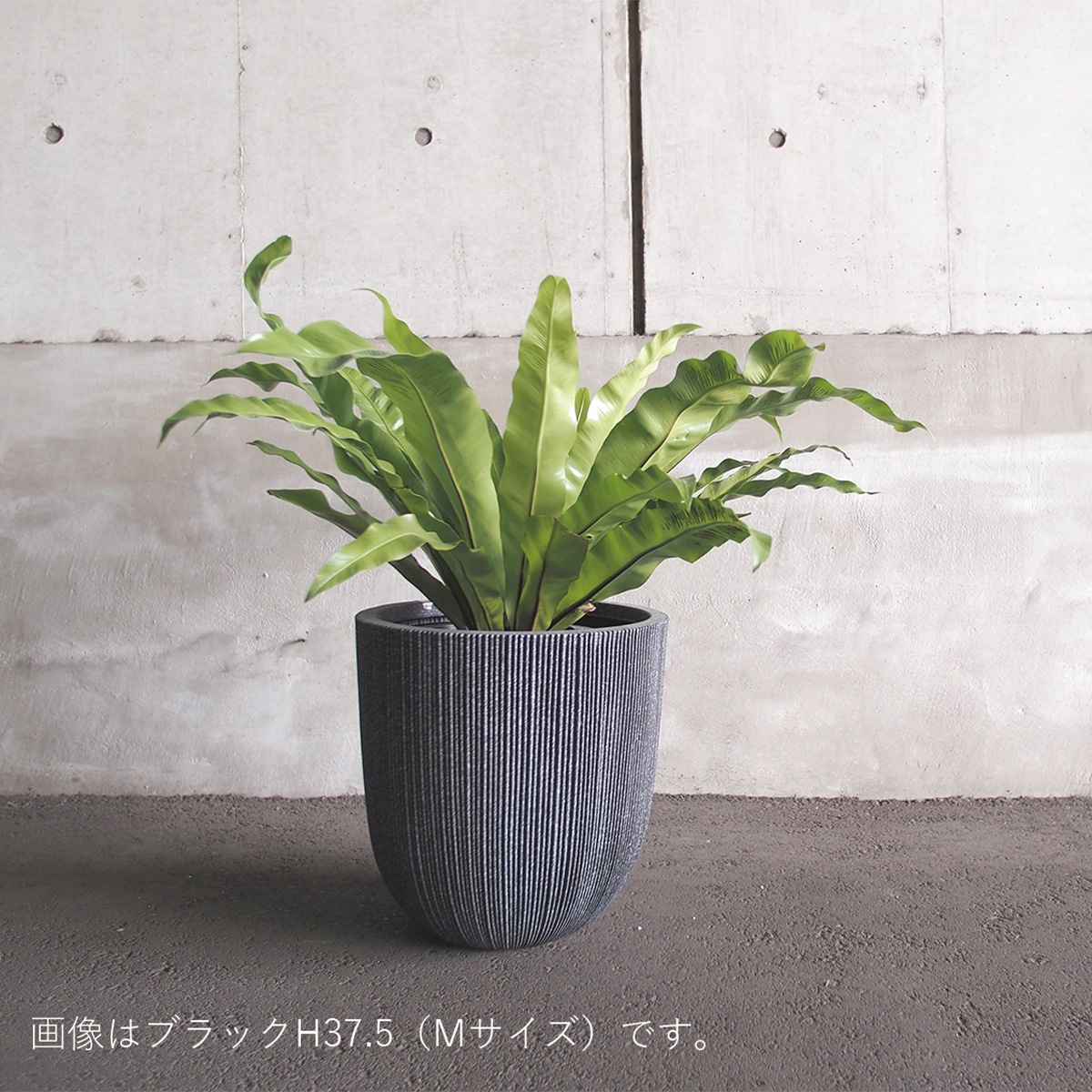 FRノルディックポットブラックS φ31×H31.5