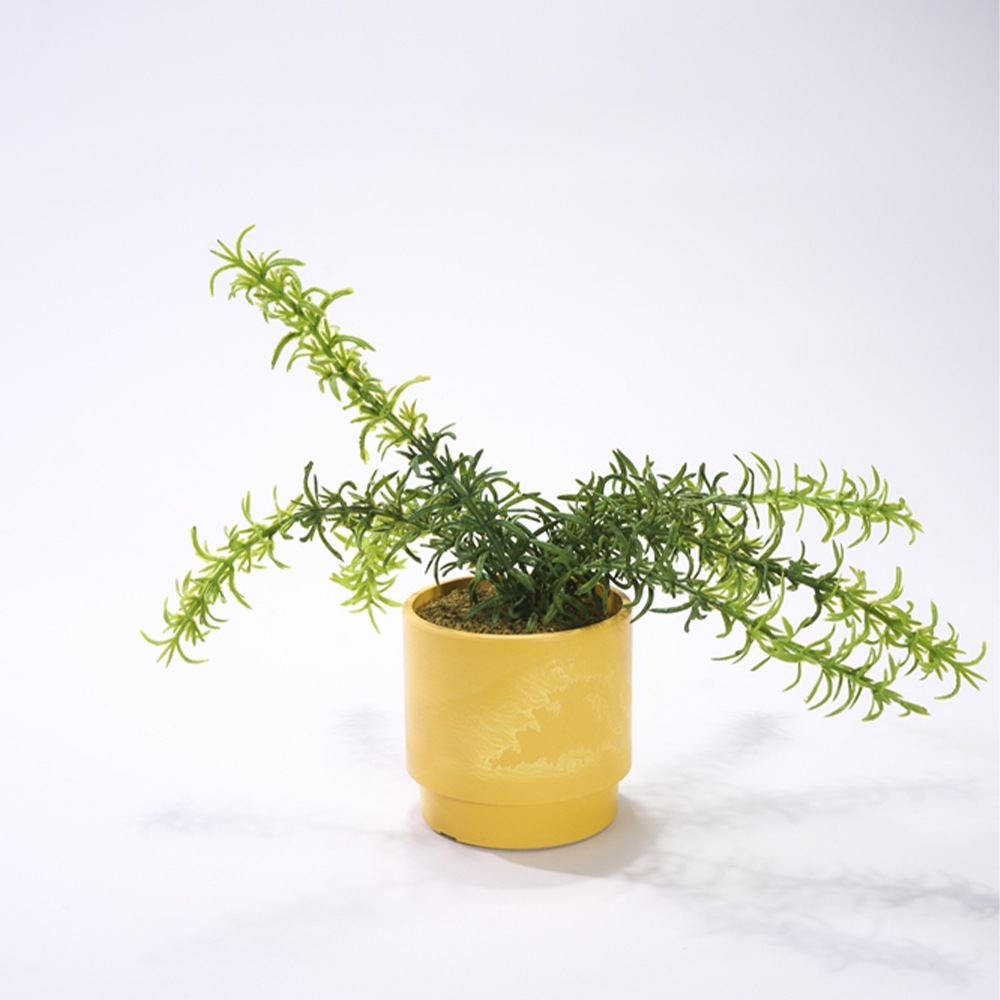 SKステップ 10xH10 サフラン