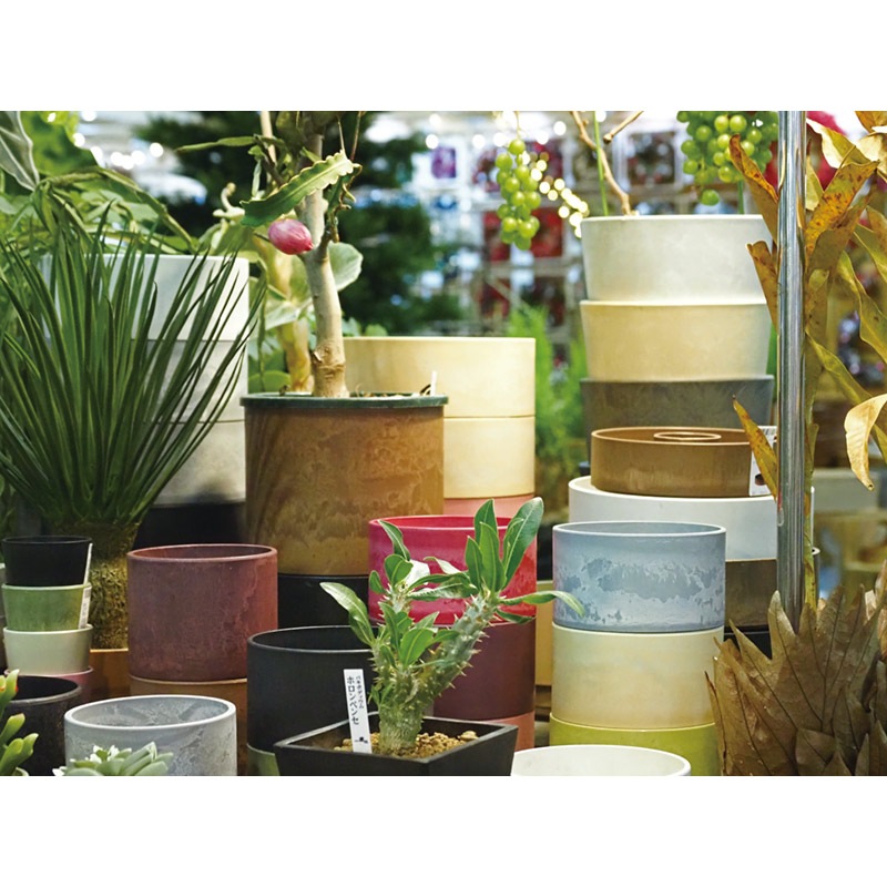 SKステップ 10xH10 アッシュグレイ