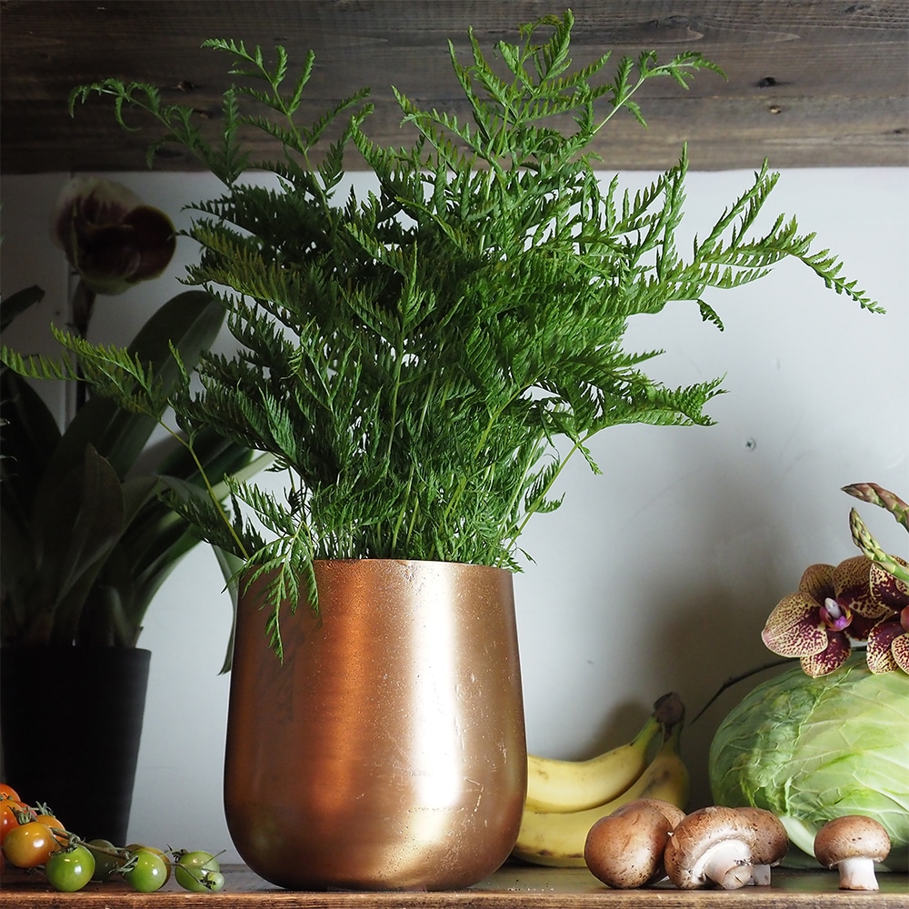 AM4ベース ゴールドH16