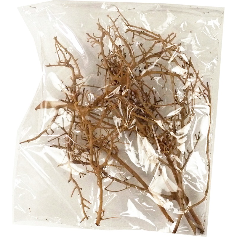 @RMホワイトブッシュ 6個セット