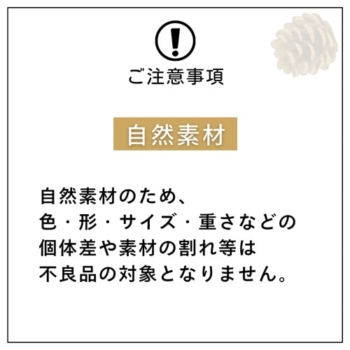 @RMホワイトブッシュ 6個セット