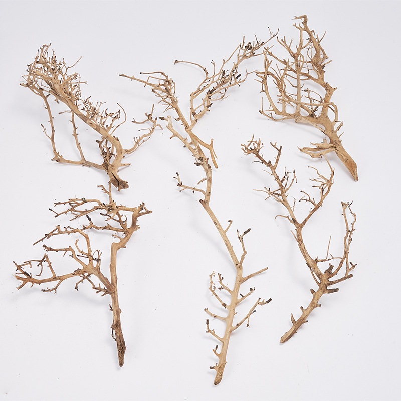 @RMホワイトブッシュ 6個セット