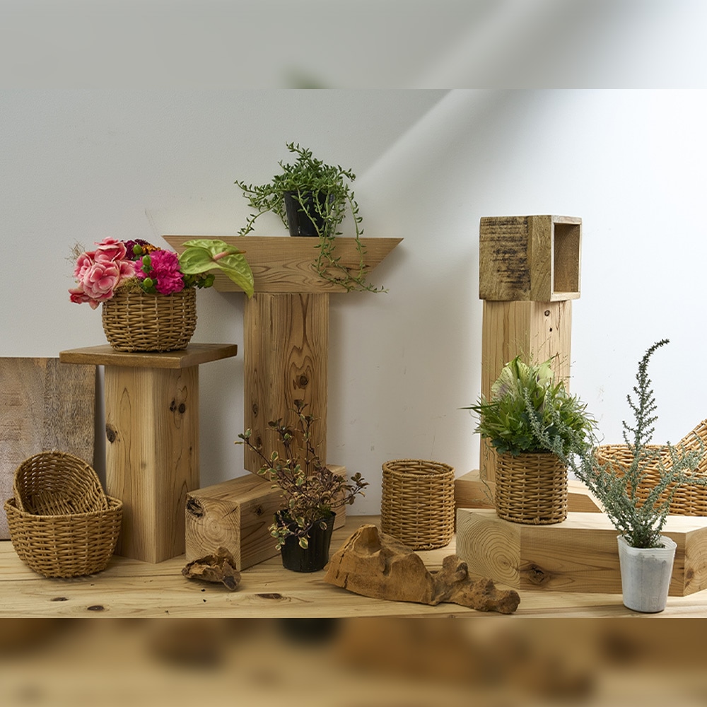 NBポリナスオーバルSS