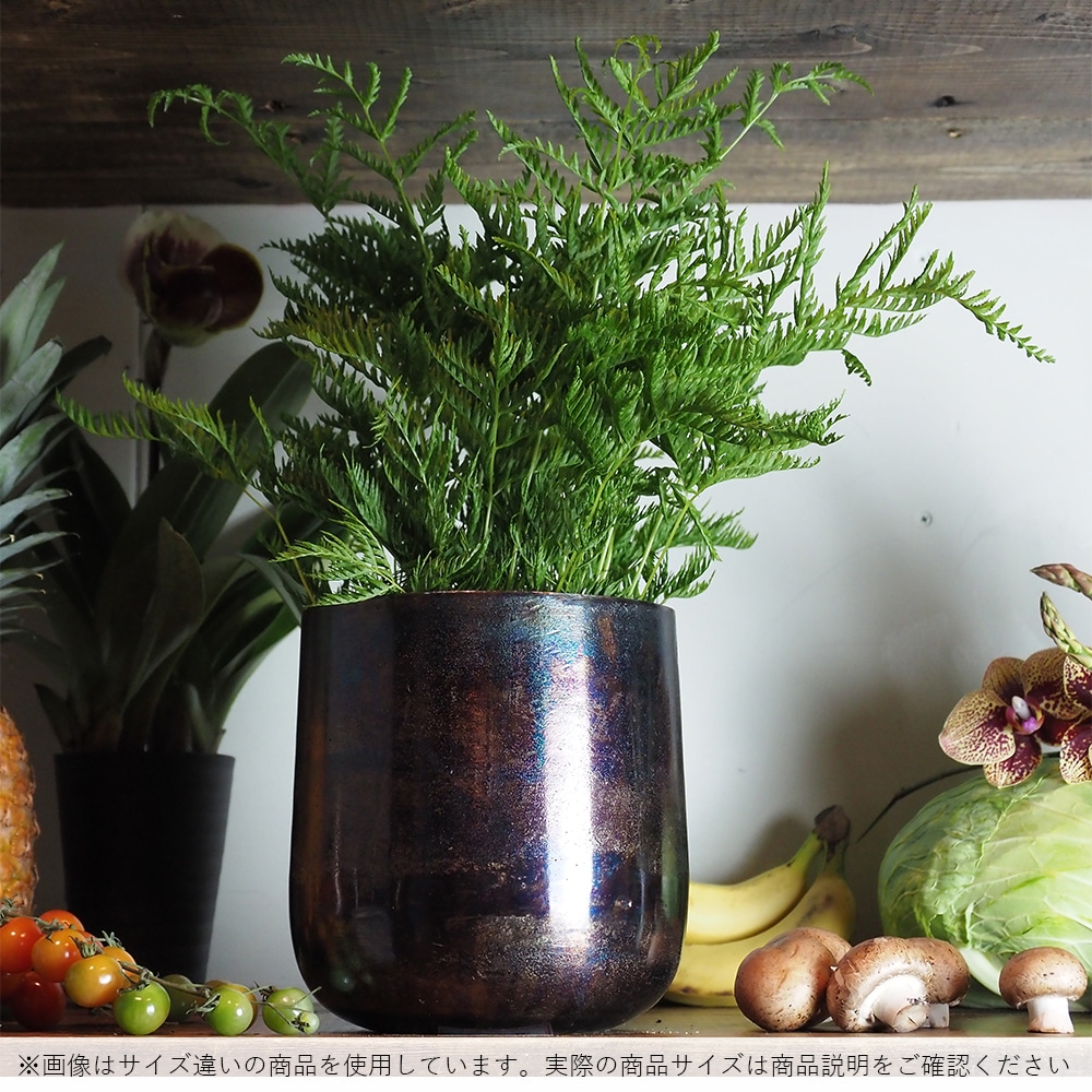 AM6ベース ブラックH20【入荷予定あり】【2026年3月下旬入荷予定】