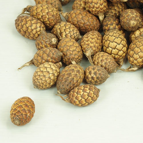 @RMケインフルーツ 約200g