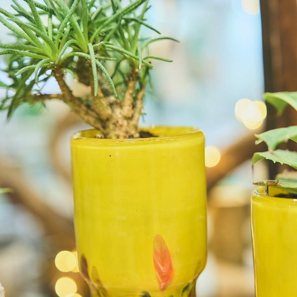 アンバーガラス カット細工コンポート／飾り鉢 ライン.jpg