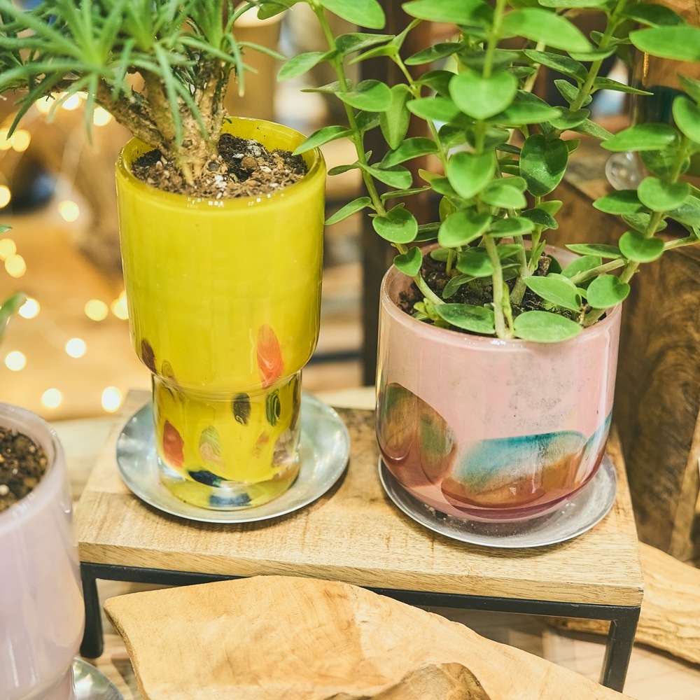 DGガラスステップロングポット＆ソーサーφ8.5xH16 イエローフラワー