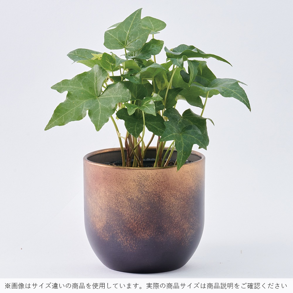 3200036DBR_MC円形アールメタル ダークブラウンH17