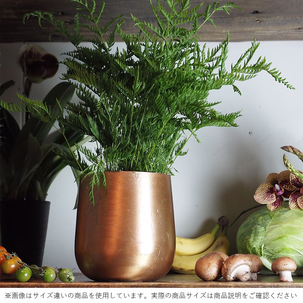 AM5ベース ゴールドH19