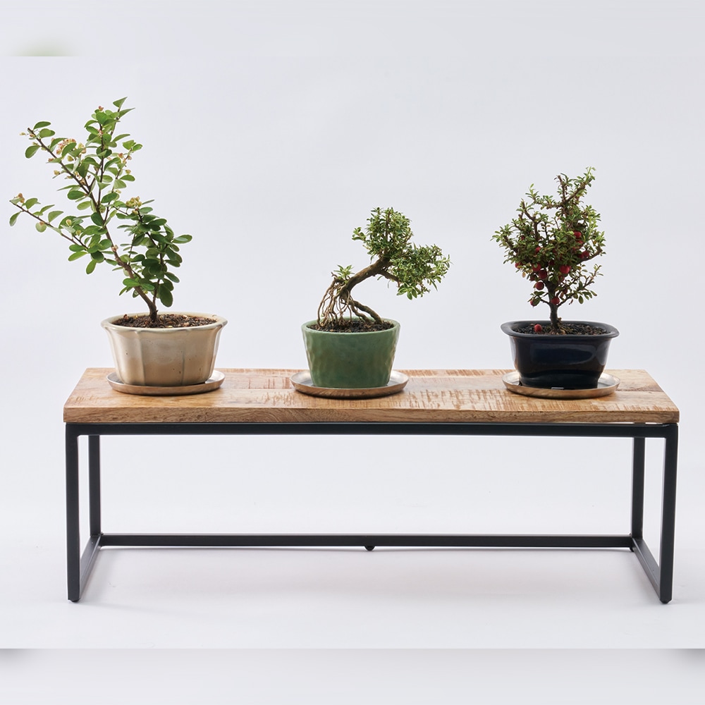 美品■USA■ベーカー■ペデスタルテーブル/花台/飾り台■最高級■Baker AMペデスタルテーブル60x22xH20 | 什器・花台・ディスプレイ棚 | 花の