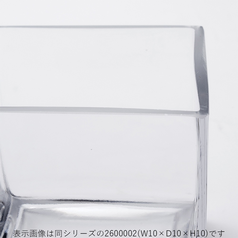 TomグラスキューブL 15×H15