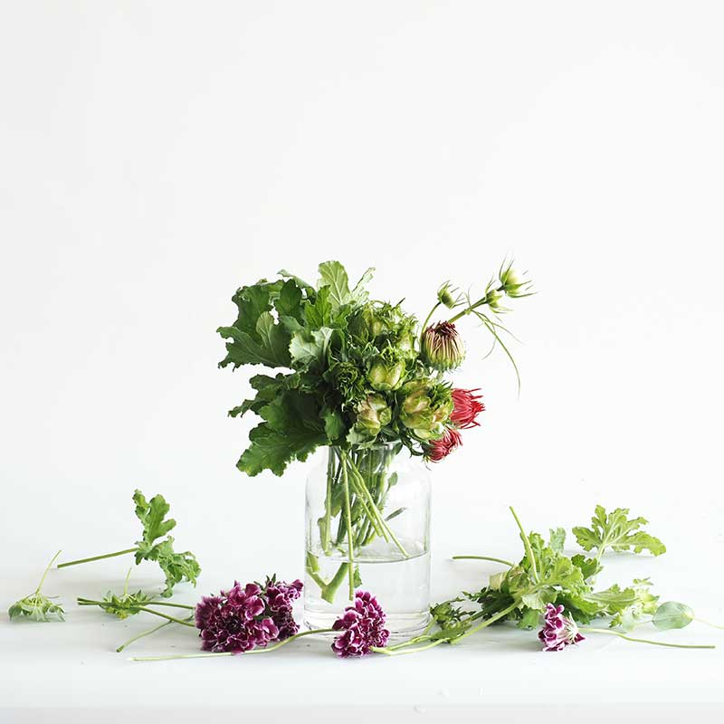 Tomボトルベース H12