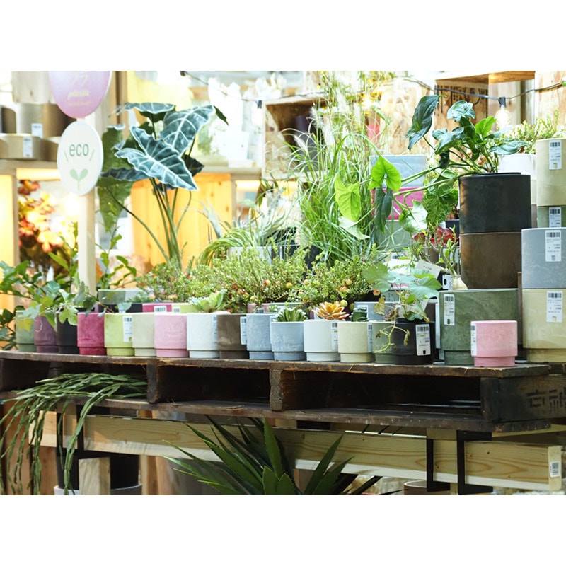 SKステップ 18x18 アッシュグレイ