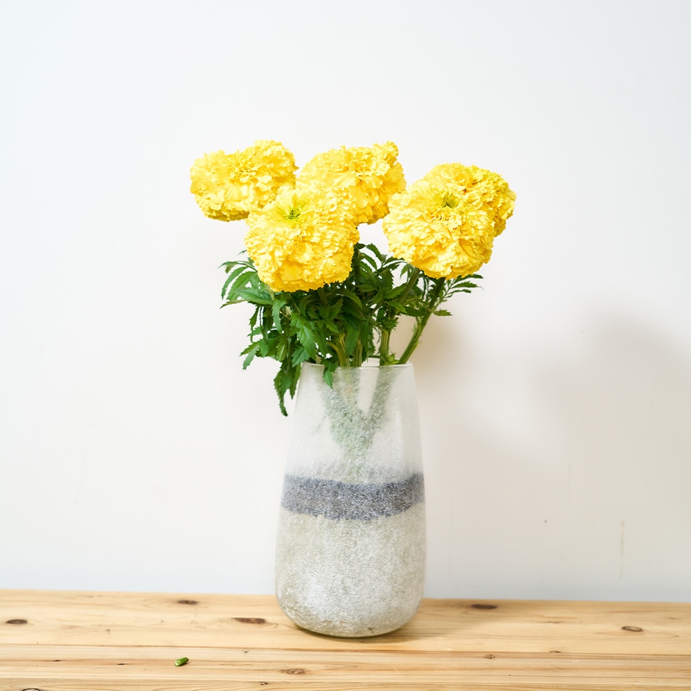 DGティアドロップベース H26 アッシュヴェール