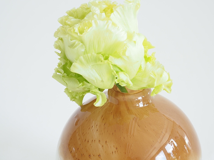 DGポロベースH10 ホワイトブラウン