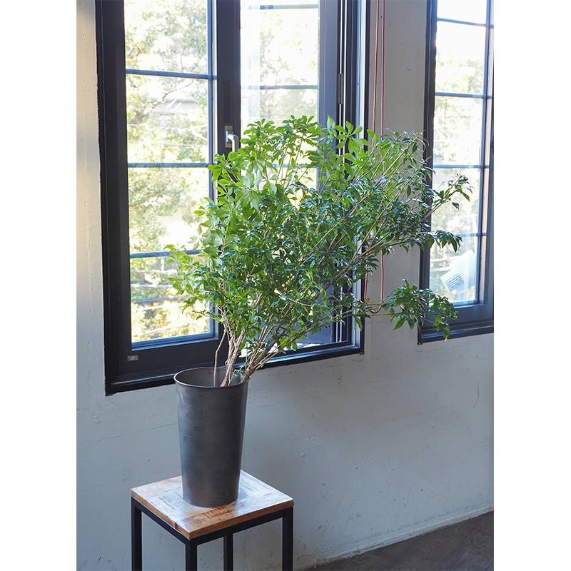 MC円錐ロングポット ダークブラックH40