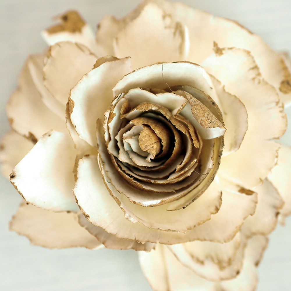 RMソラキャベッジフラワー ナチュラル 6cm 6個セット