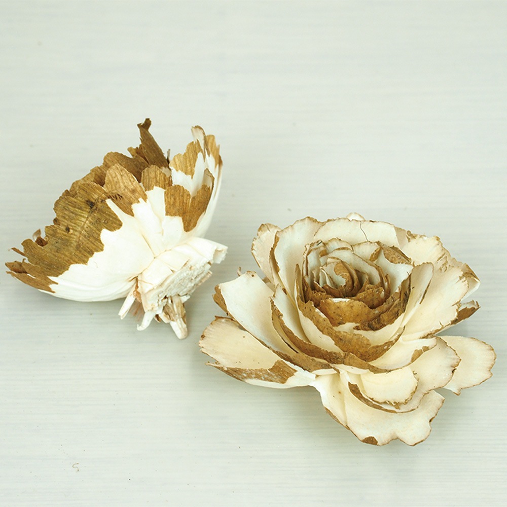 RMソラキャベッジフラワー ナチュラル 6cm 6個セット