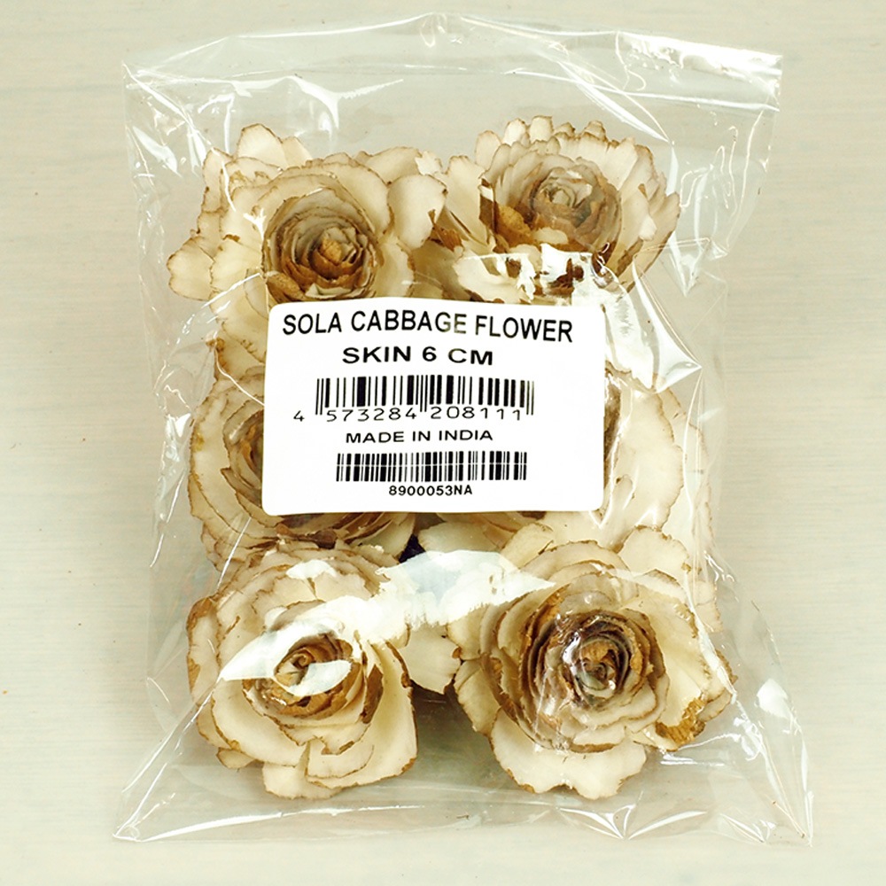 RMソラキャベッジフラワー ナチュラル 6cm 6個セット