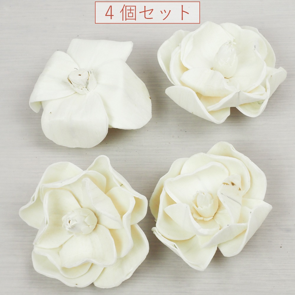 RMソラマグノリアローズ 6cm 4個セット