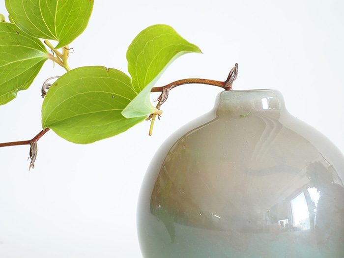 DGポロベースH10 グリーンブラウン