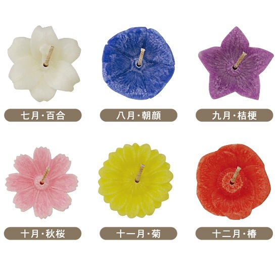 花とみどりのギフト券(3,000円分)と花づくしギフトセット(植物性)