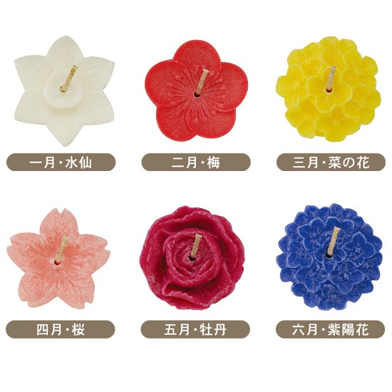 花とみどりのギフト券(5,000円分)と新・花づくしギフトセット