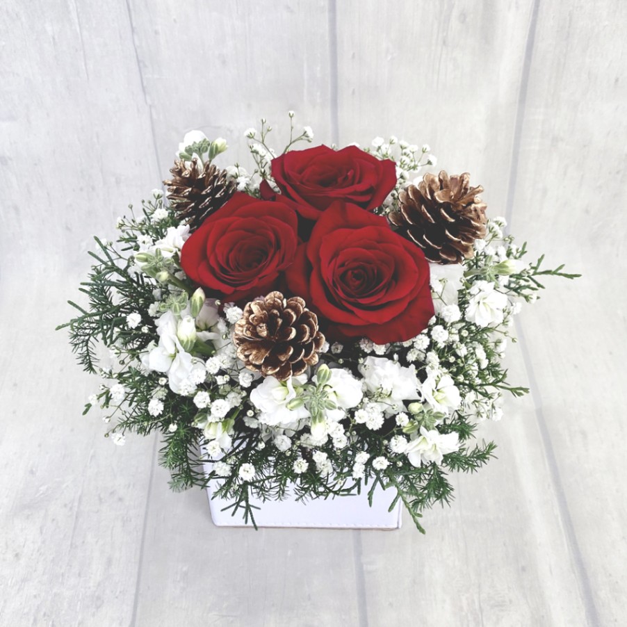 スノーロマンス