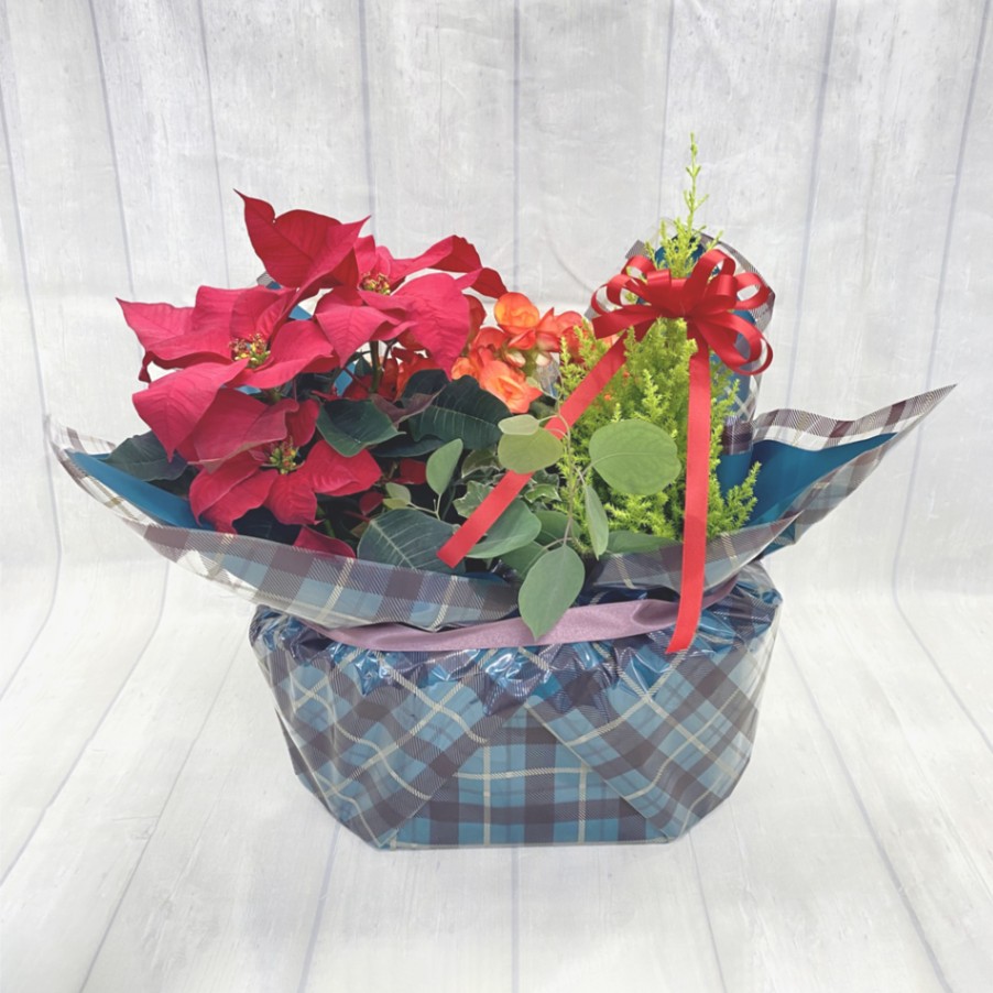 ホリデーガーデン／BL